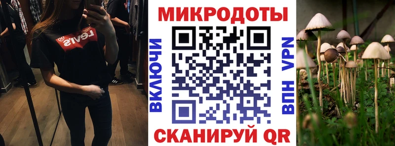 Купить закладки Борисоглебск Псилоцибиновые грибы мицелий